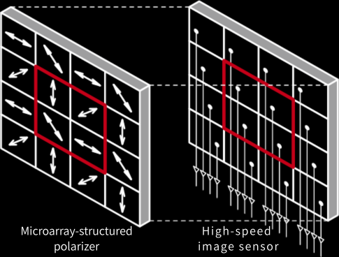 Microarray structured polarizer